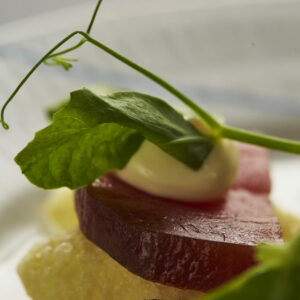 Gourmet Tapas