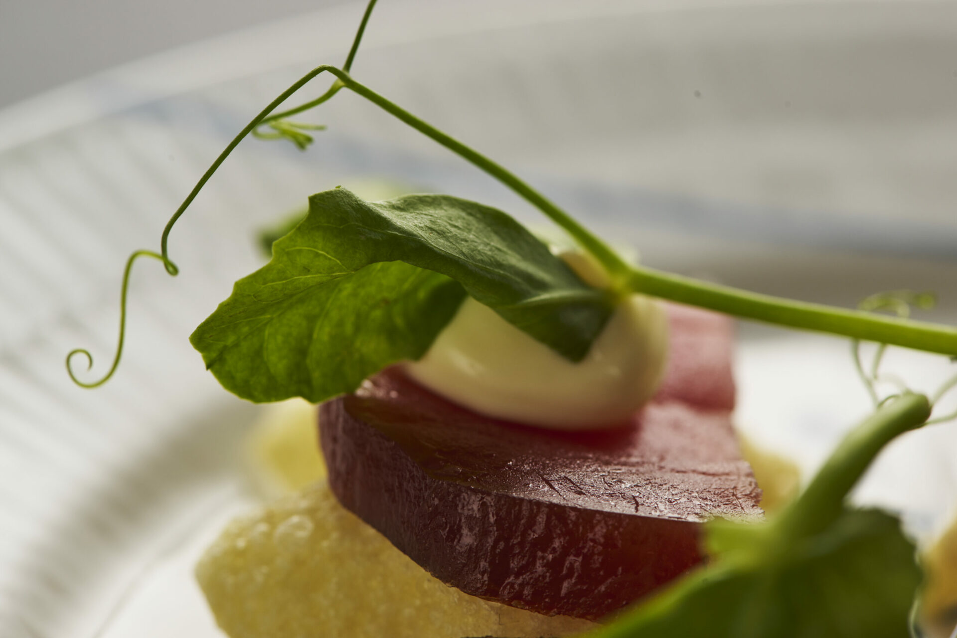 Gourmet Tapas